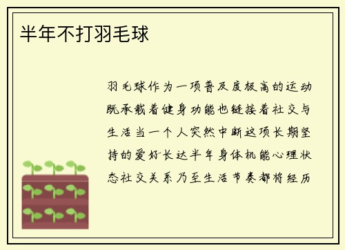 半年不打羽毛球