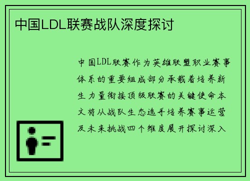 中国LDL联赛战队深度探讨