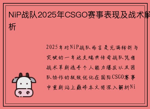 NiP战队2025年CSGO赛事表现及战术解析